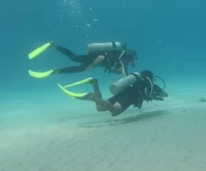 Tioman Dive Resort