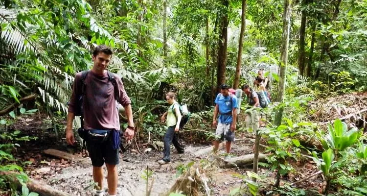 jungle trekking lang tengah activities