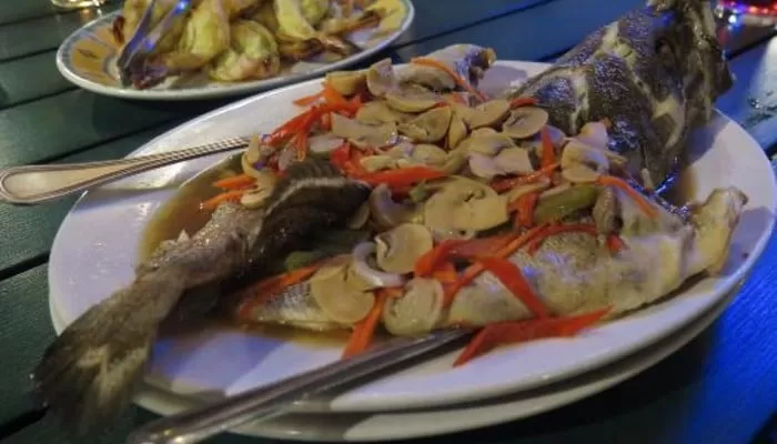 chinese steam grouper fish aseania besar
