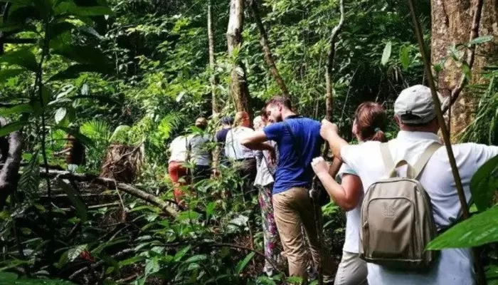 DCoconut Pulau Besar Trekking Jungle