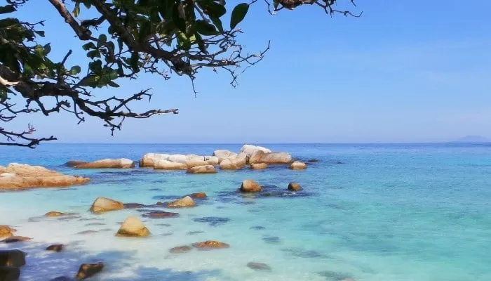 blue coral dive spot lang tengah