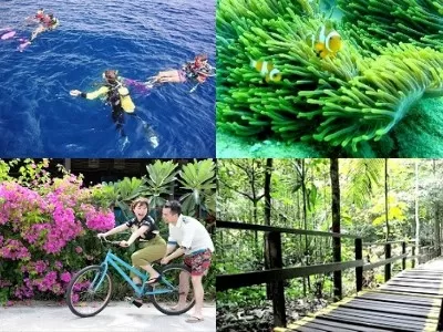 aseania pulau besar collage