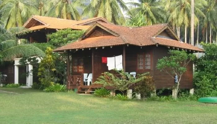 dcoconut accomodation pulau besar (1)