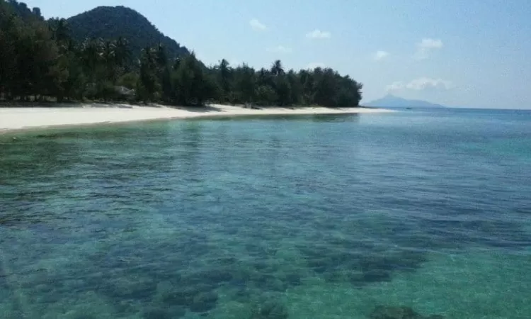 Relaxing Swim waters Pulau besar