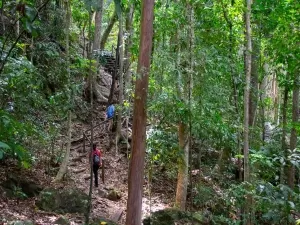 hiking 