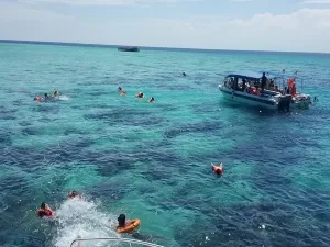 snorkeling