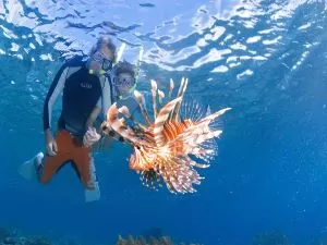 underwater 