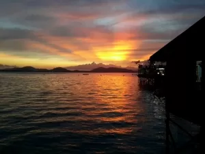 view 
