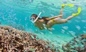 Paya Debloc Village Snorkeling