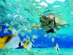snorkeling 