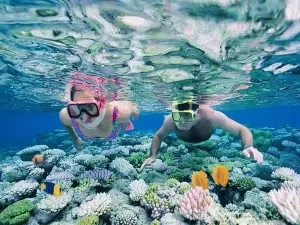 snorkeling dayang 
